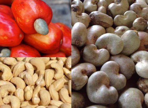 Simchi Cashew Nuts